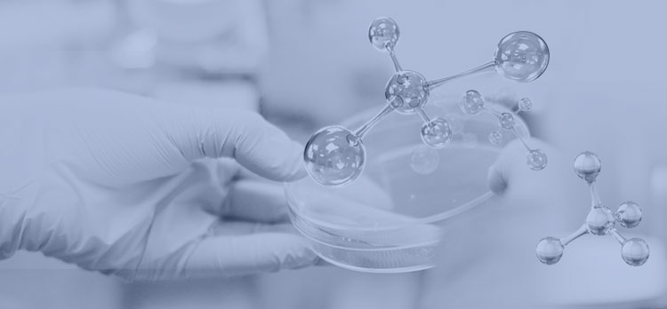 全发国际(集团)有限公司官网